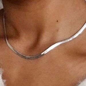 Silver Snake Necklace